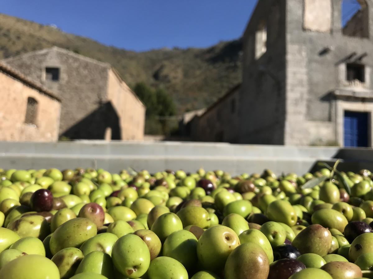 La Ferula Scillato (Sicily) Exterior foto